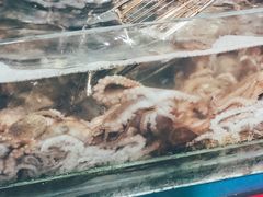 凉拌八爪鱼-望海潮海鲜店 特色家常菜(在海一方店)
