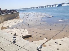 -星海广场