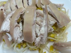 烫皮兔-盐老幺自贡盐帮菜老店