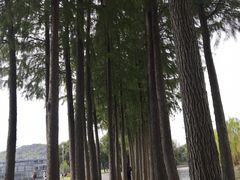 -上海月湖雕塑公园