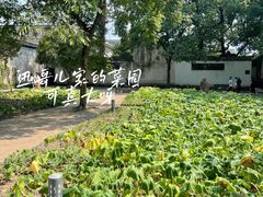 -绍兴鲁迅故里·沈园景区