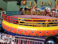 -石家庄市动物园