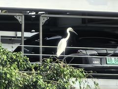 -黄沙码头
