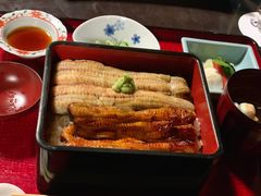 -料亭菊水楼