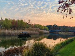 -养云安缦吧THE BAR