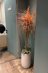 -医颜医疗美容门诊部