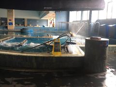 -晋爵会游泳馆(海湾公园店)