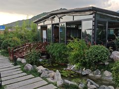 -蘇河湾·新鲁菜·泰山宴(泰山店)