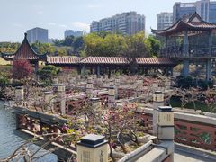 -深圳龙潭公园