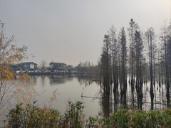 景点-白鹭湾湿地公园
