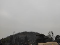 -洛阳古墓博物馆