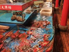 -谊荣海鲜大牌档(石湖店)