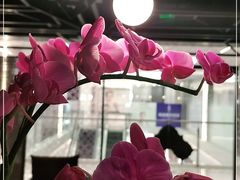 -LANN I 蘭 泰式古法按摩(徐家汇城开YOYO店)