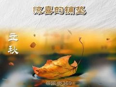 -生如夏花泰式火锅(伊藤双楠店)