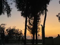 -宝安西湾红树林湿地公园