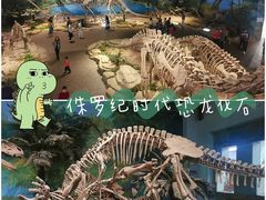 -自贡恐龙博物馆