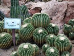 -华南国家植物园-售票处