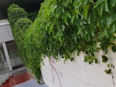 -龙江公园