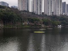 -重庆彩云湖湿地公园