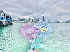 -玩具反斗城(海港城店)