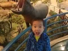 -陕西自然博物馆