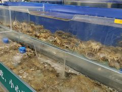 水产区-圣罗巴海鲜自助(黑金店)