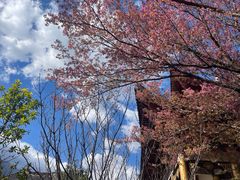 -天龙八部武侠城