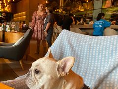 -THE CANNERY&JUJU 新鲜海鲜·牛排美食酒廊