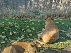 -北京野生动物园