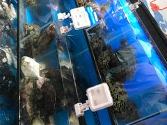 -盒马鲜生(皇庭广场店)