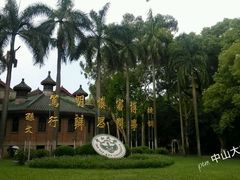 -中山大学学者灵芝(园南路店)