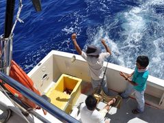 海猎号深海拖钓-海猎号深海拖钓