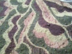 -桂林市花鸟市场