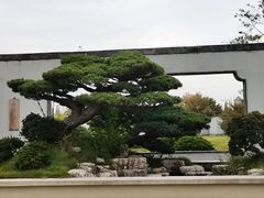 -盆景园(扬州大运河文化旅游度假区)