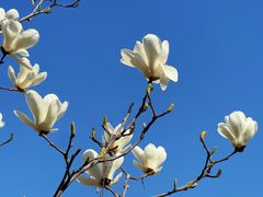 -北运河水利风景区