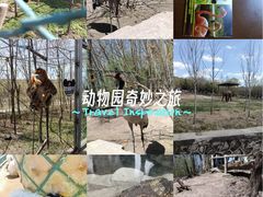 -哈尔滨北方森林动物园
