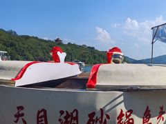 -天目湖山水园
