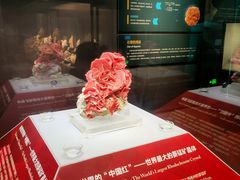 -湖南省地质博物馆