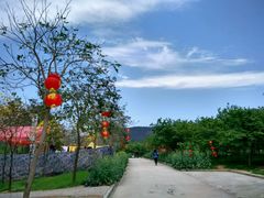 -天适樱花悠乐园