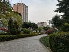 -神仙树公园