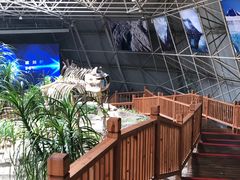 -中国第四纪冰川遗迹陈列馆