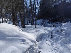 -峡谷浮石林景区