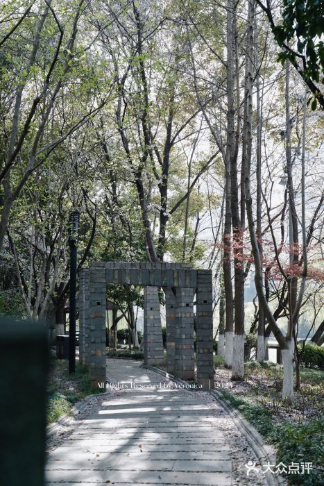 施家花园(朝晖路)图片