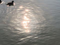 -国家植物园(地铁站)