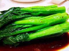 -北海渔村酒楼·粤菜海鲜点心(新华店)