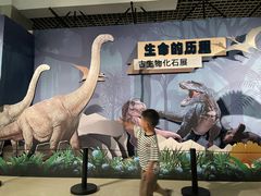 -温州博物馆