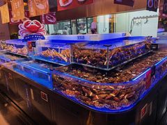 -同庆楼(天鹅酒家店)