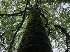 -龙苍沟森林公园