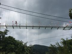 -木兰云雾山