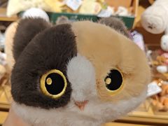 -九木杂物社(恒隆广场店)